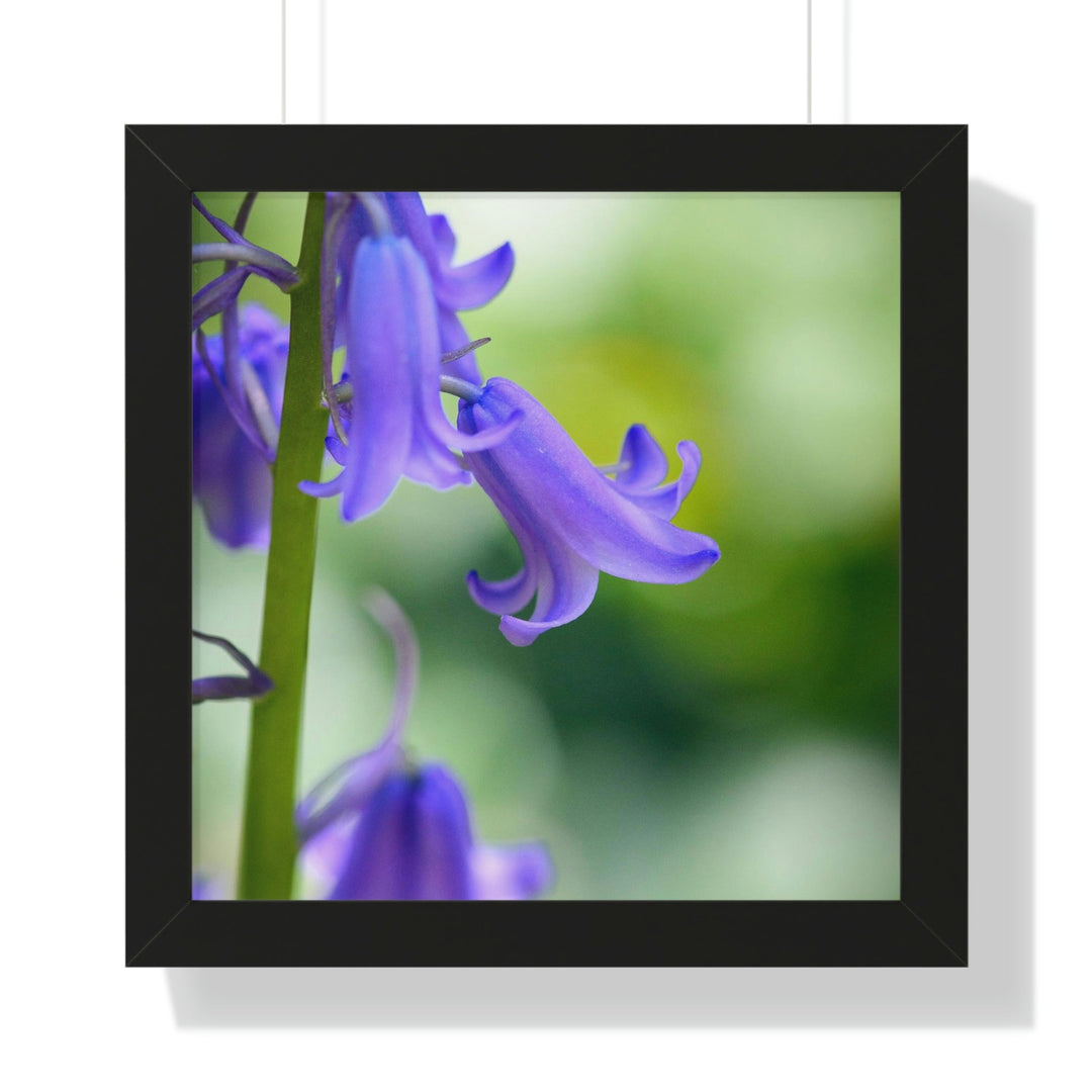 Delicate Bell - Framed Print - Visiting This World