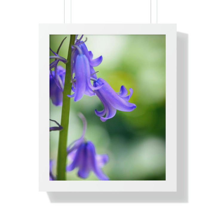 Delicate Bell - Framed Print - Visiting This World