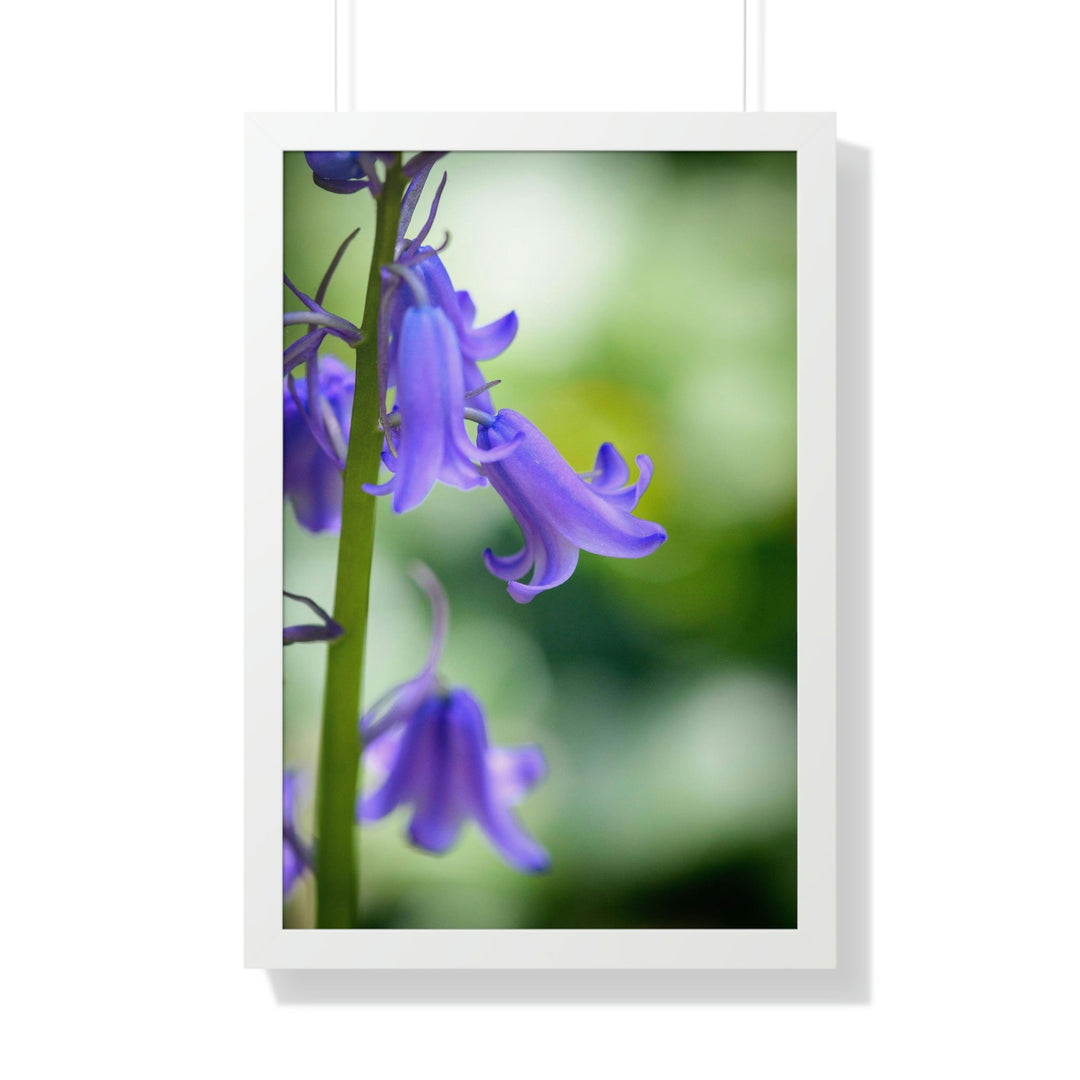 Delicate Bell - Framed Print - Visiting This World