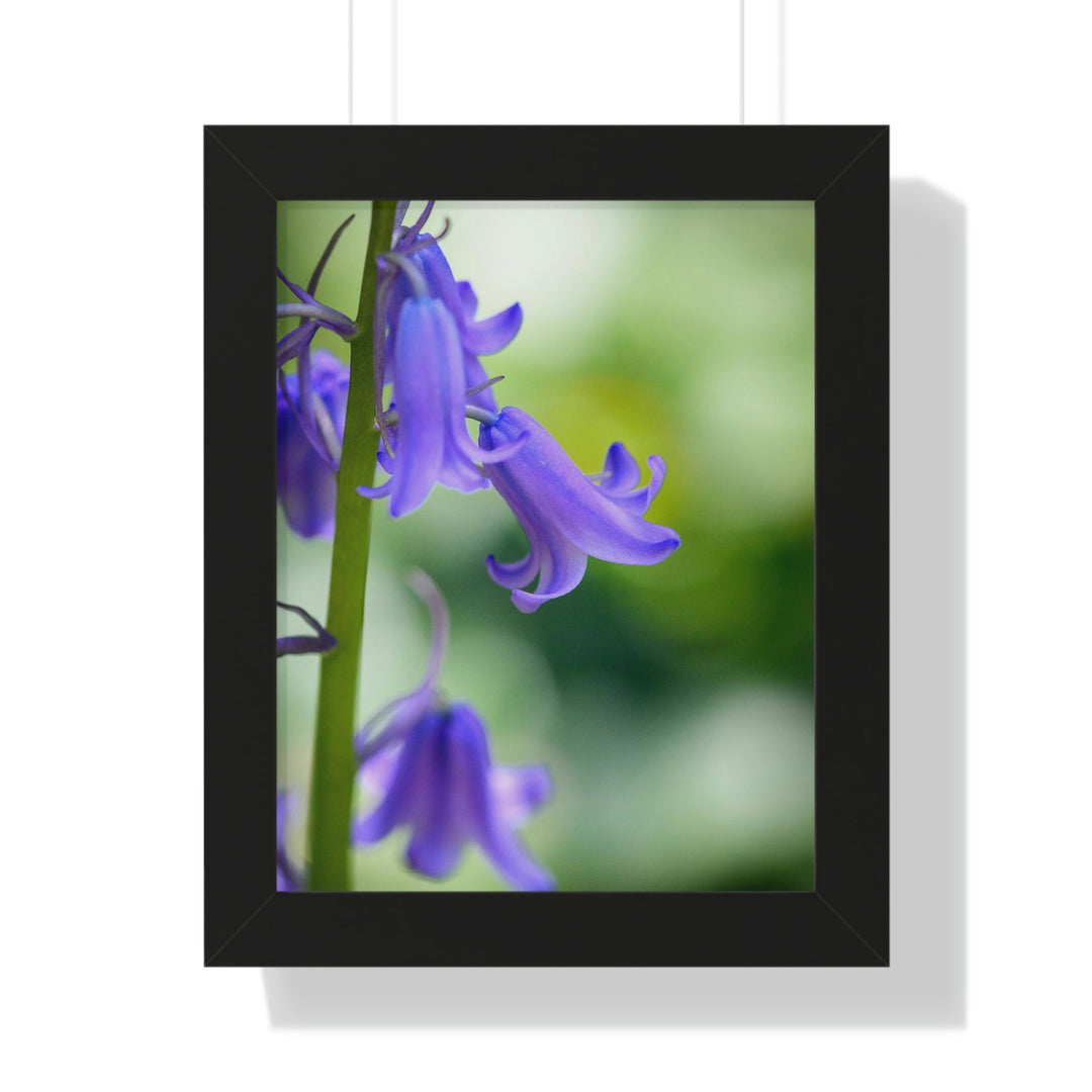 Delicate Bell - Framed Print - Visiting This World