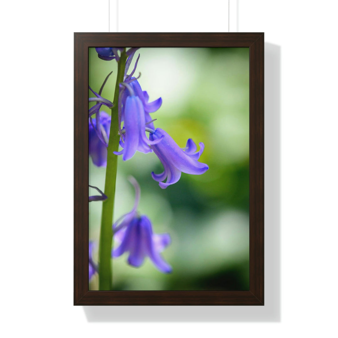 Delicate Bell - Framed Print - Visiting This World