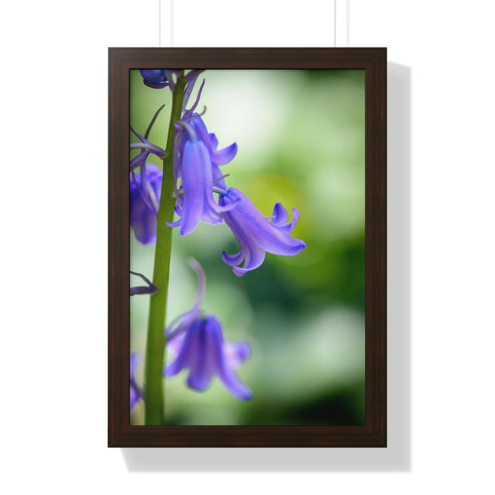 Delicate Bell - Framed Print - Visiting This World