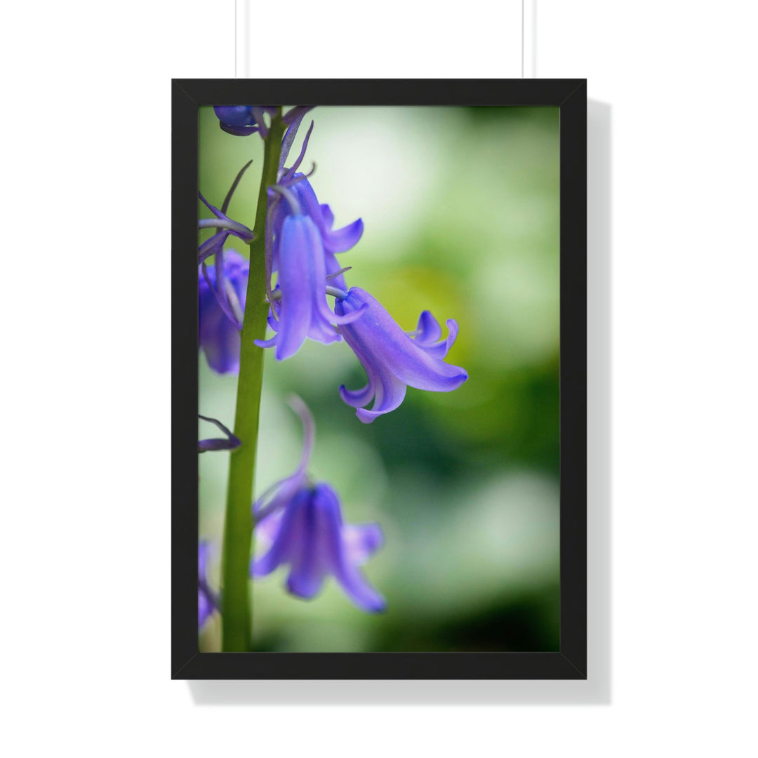 Delicate Bell - Framed Print - Visiting This World