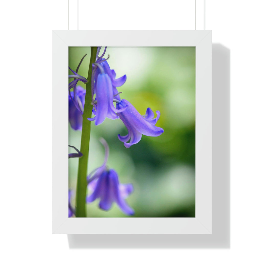 Delicate Bell - Framed Print - Visiting This World