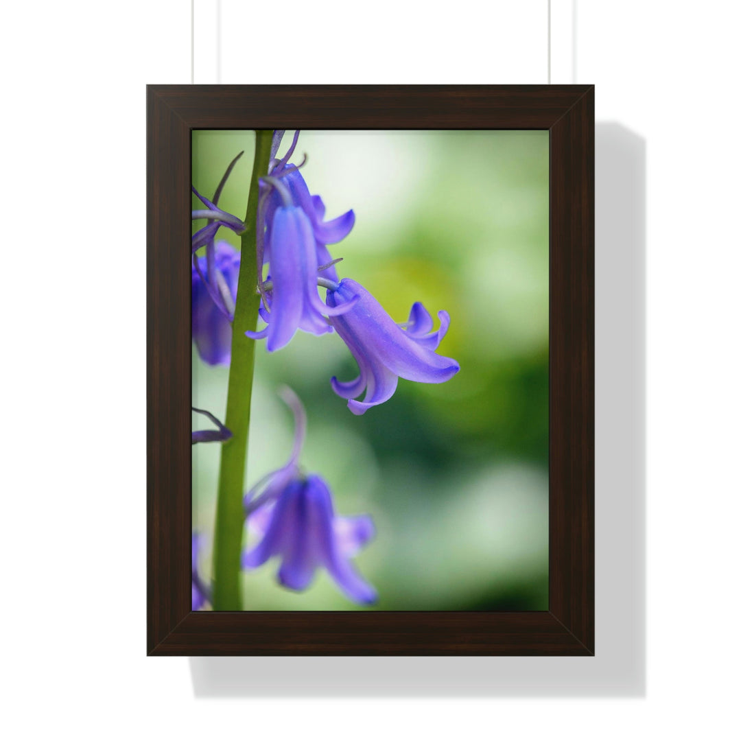 Delicate Bell - Framed Print - Visiting This World