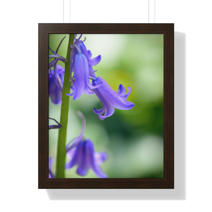 Delicate Bell - Framed Print - Visiting This World