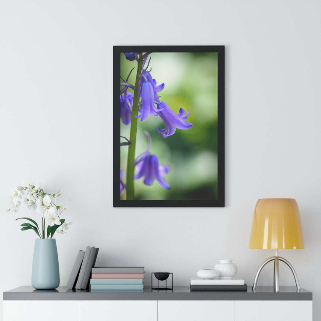 Delicate Bell - Framed Print - Visiting This World