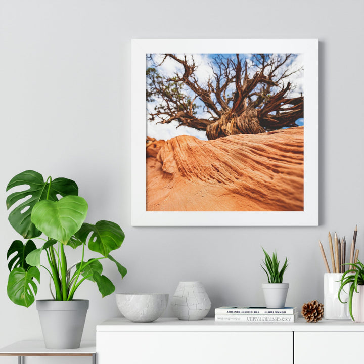 Desert Reach - Framed Print - Visiting This World