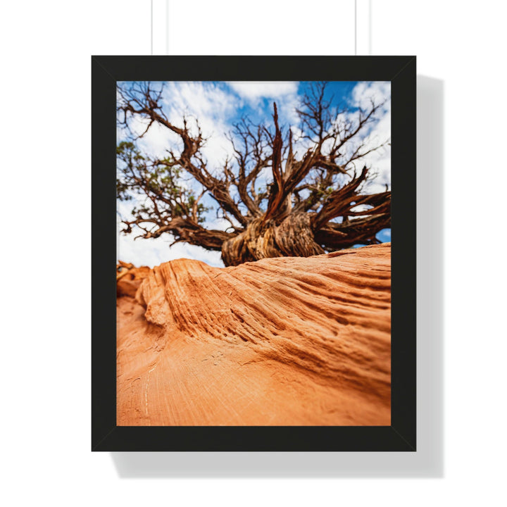 Desert Reach - Framed Print - Visiting This World