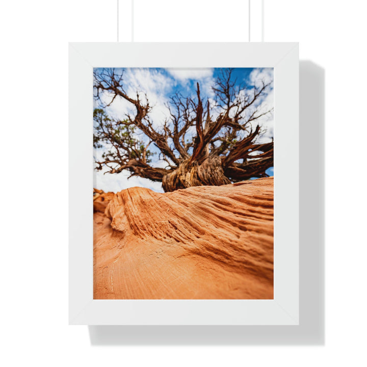 Desert Reach - Framed Print - Visiting This World