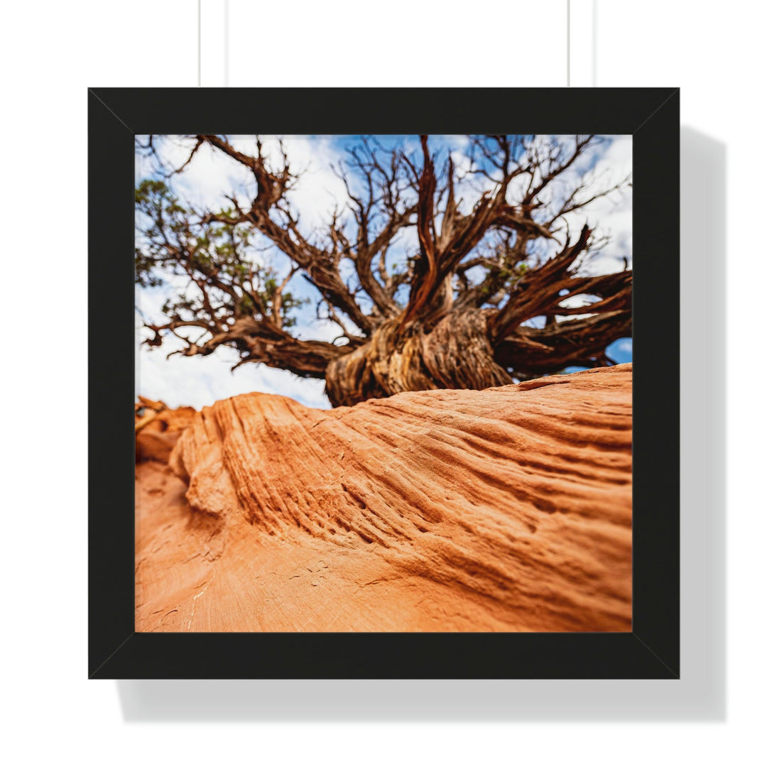 Desert Reach - Framed Print - Visiting This World