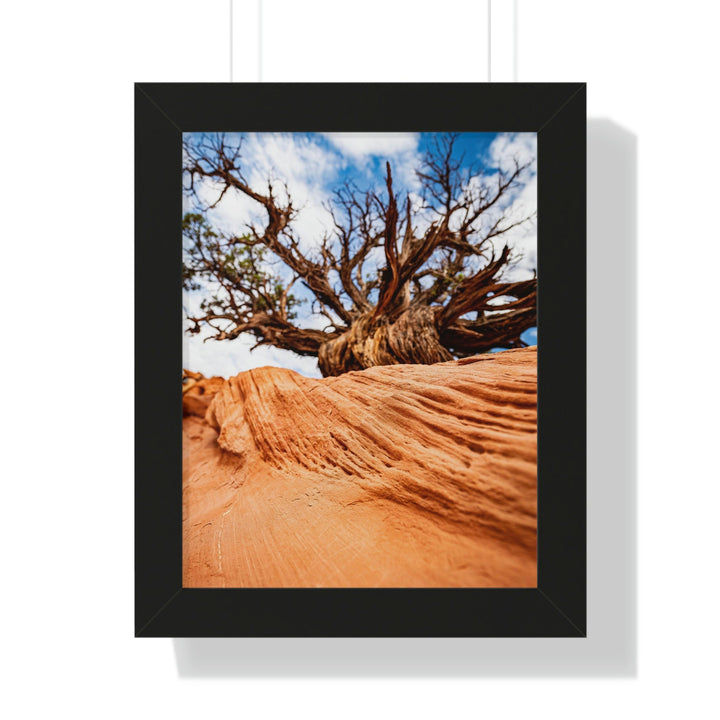 Desert Reach - Framed Print - Visiting This World