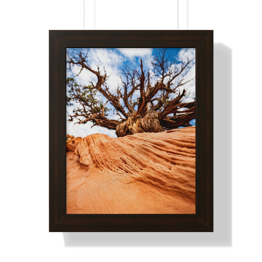 Desert Reach - Framed Print - Visiting This World