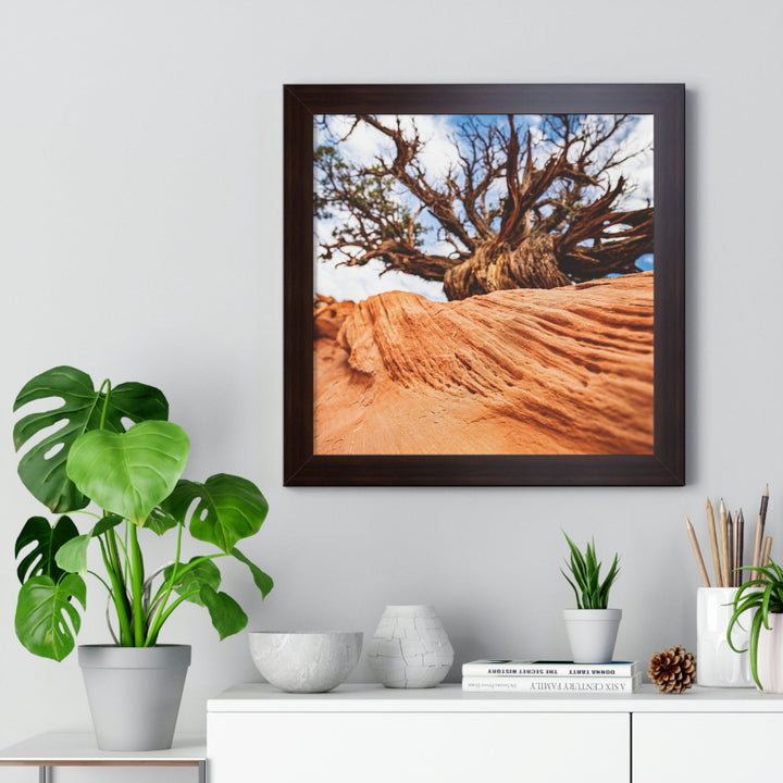 Desert Reach - Framed Print - Visiting This World