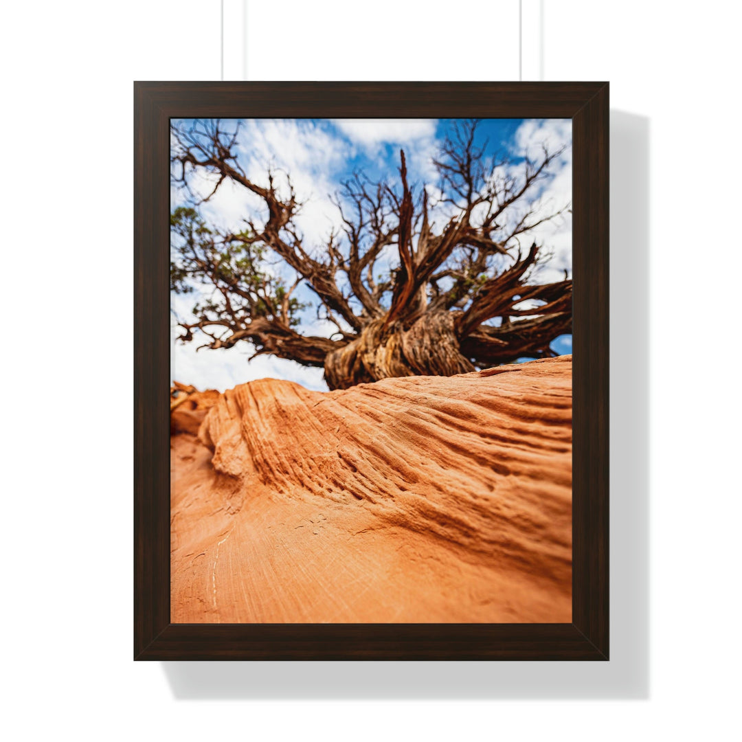 Desert Reach - Framed Print - Visiting This World