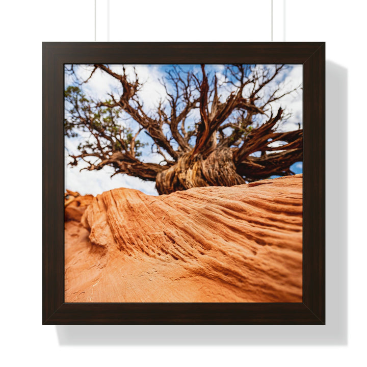 Desert Reach - Framed Print - Visiting This World