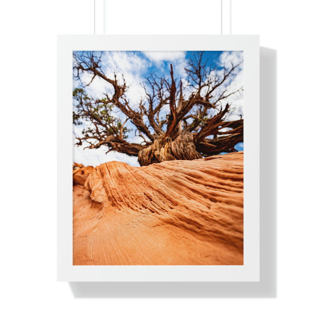 Desert Reach - Framed Print - Visiting This World