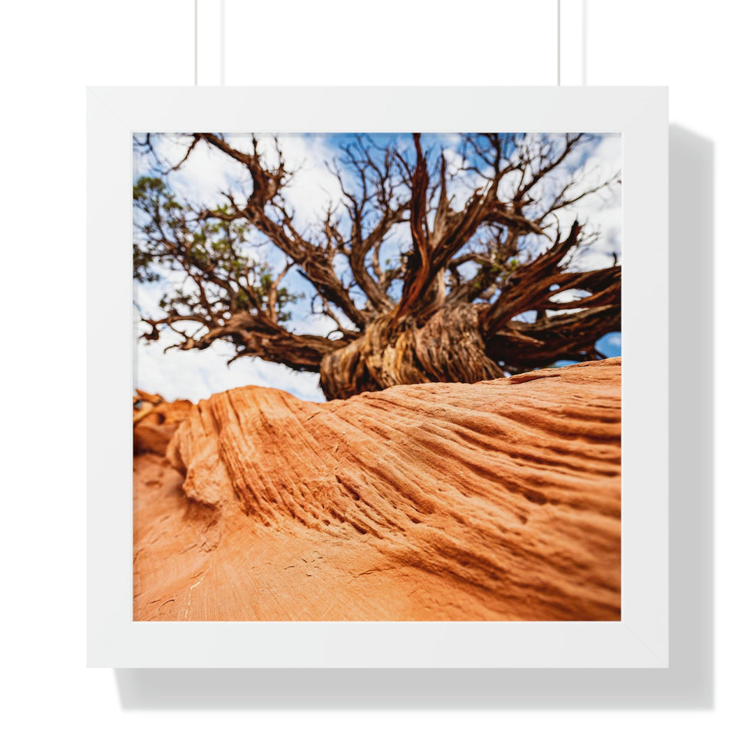 Desert Reach - Framed Print - Visiting This World