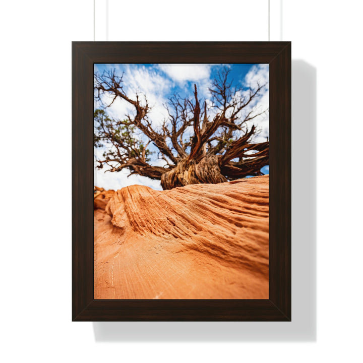 Desert Reach - Framed Print - Visiting This World