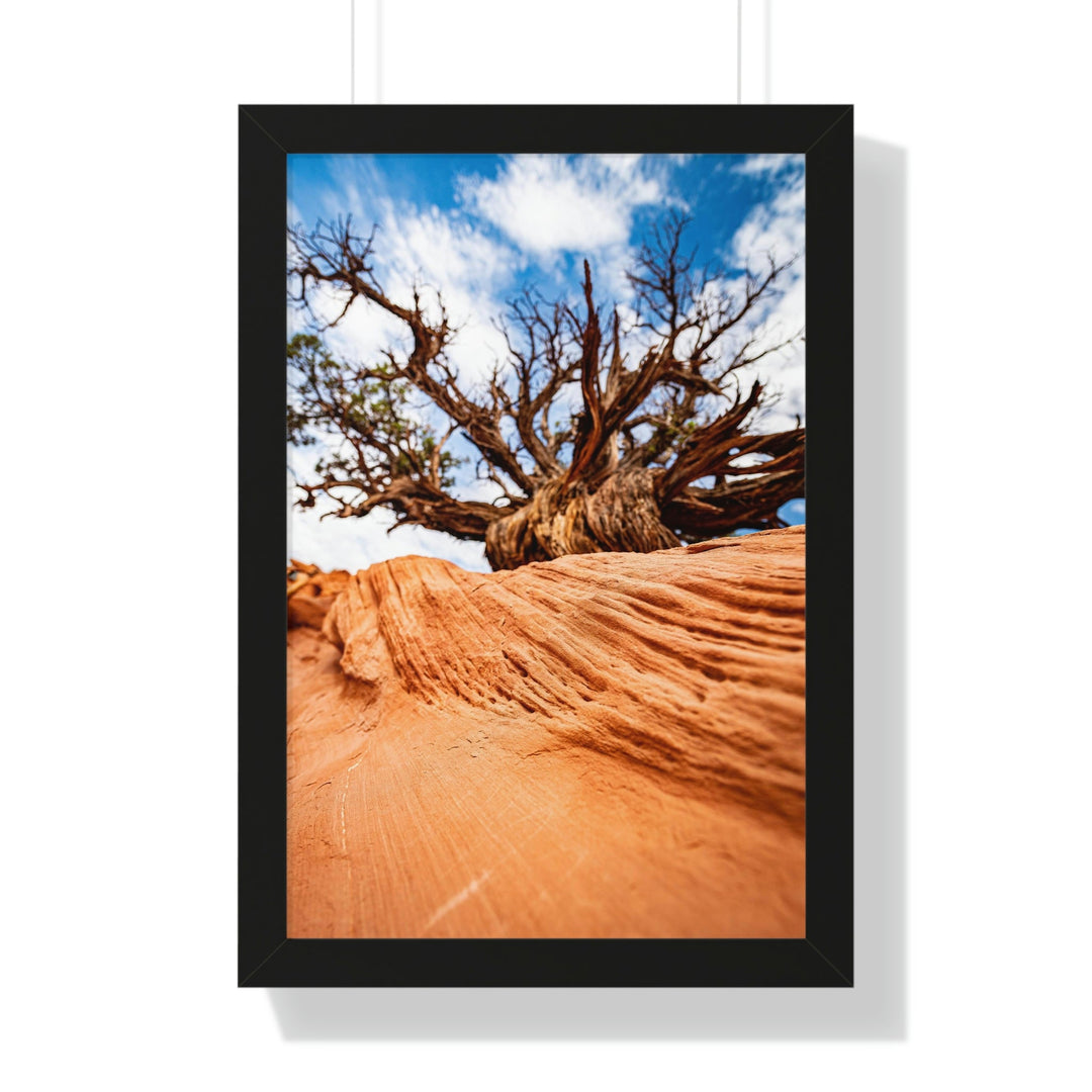 Desert Reach - Framed Print - Visiting This World