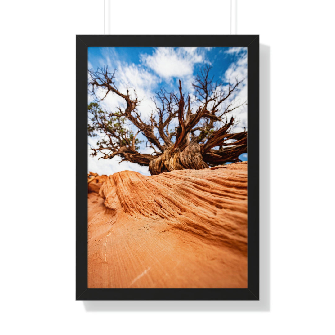 Desert Reach - Framed Print - Visiting This World