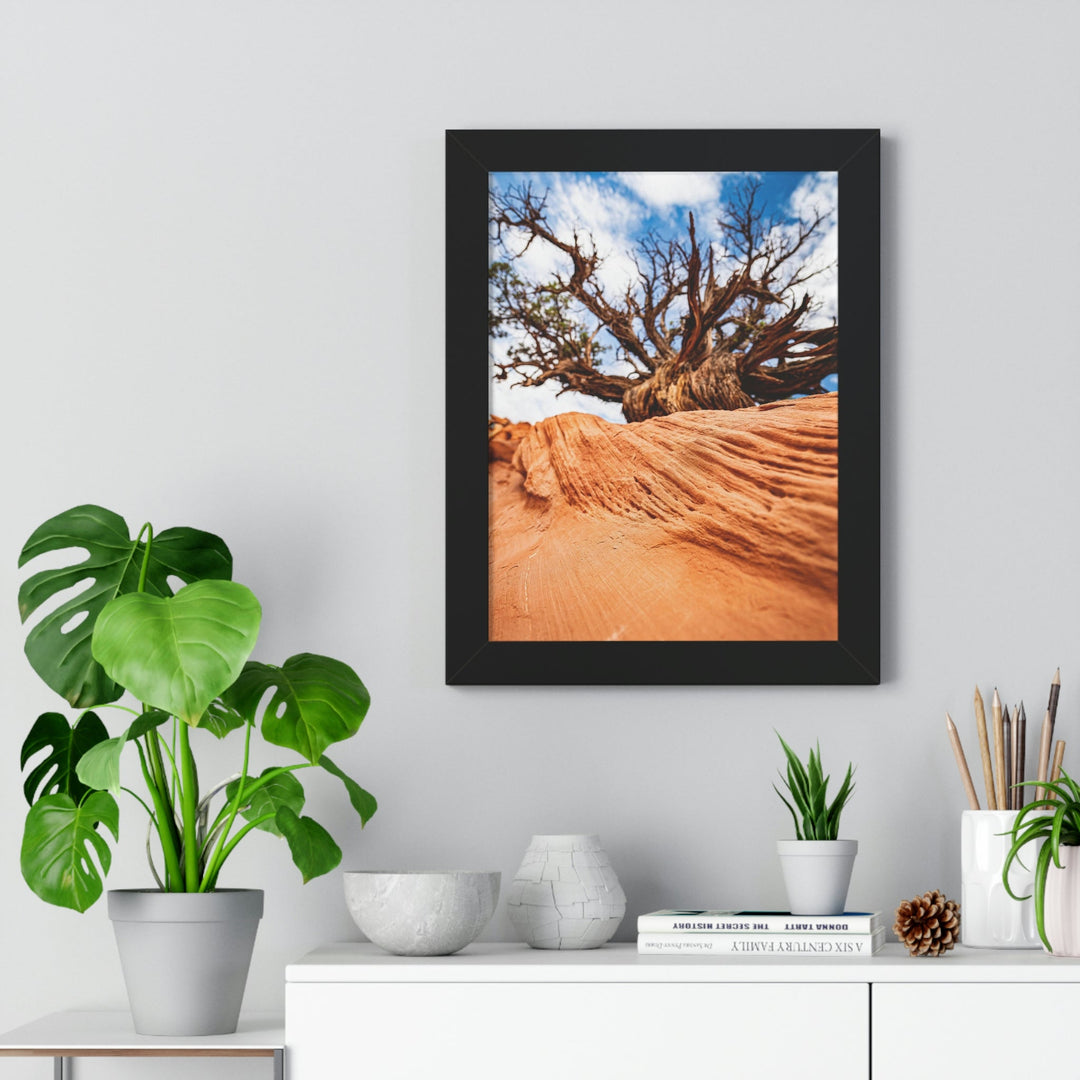 Desert Reach - Framed Print - Visiting This World