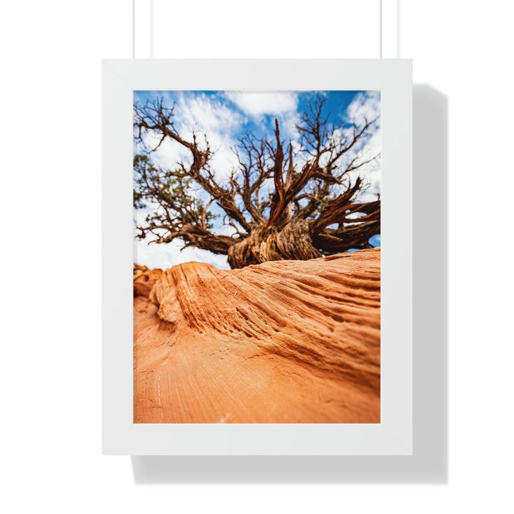 Desert Reach - Framed Print - Visiting This World