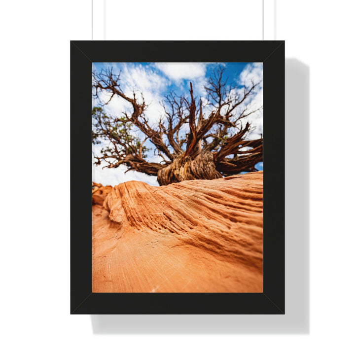 Desert Reach - Framed Print - Visiting This World