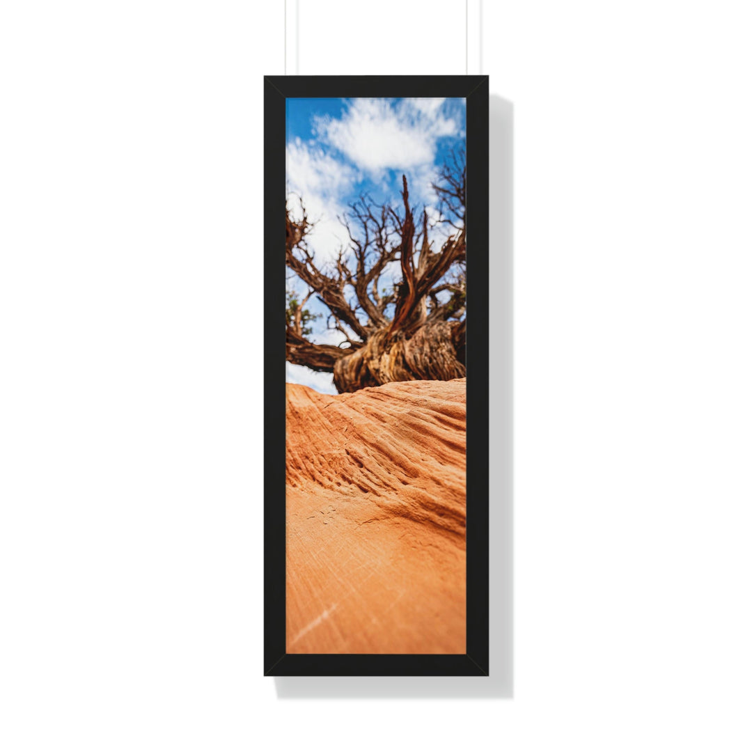 Desert Reach - Framed Print - Visiting This World