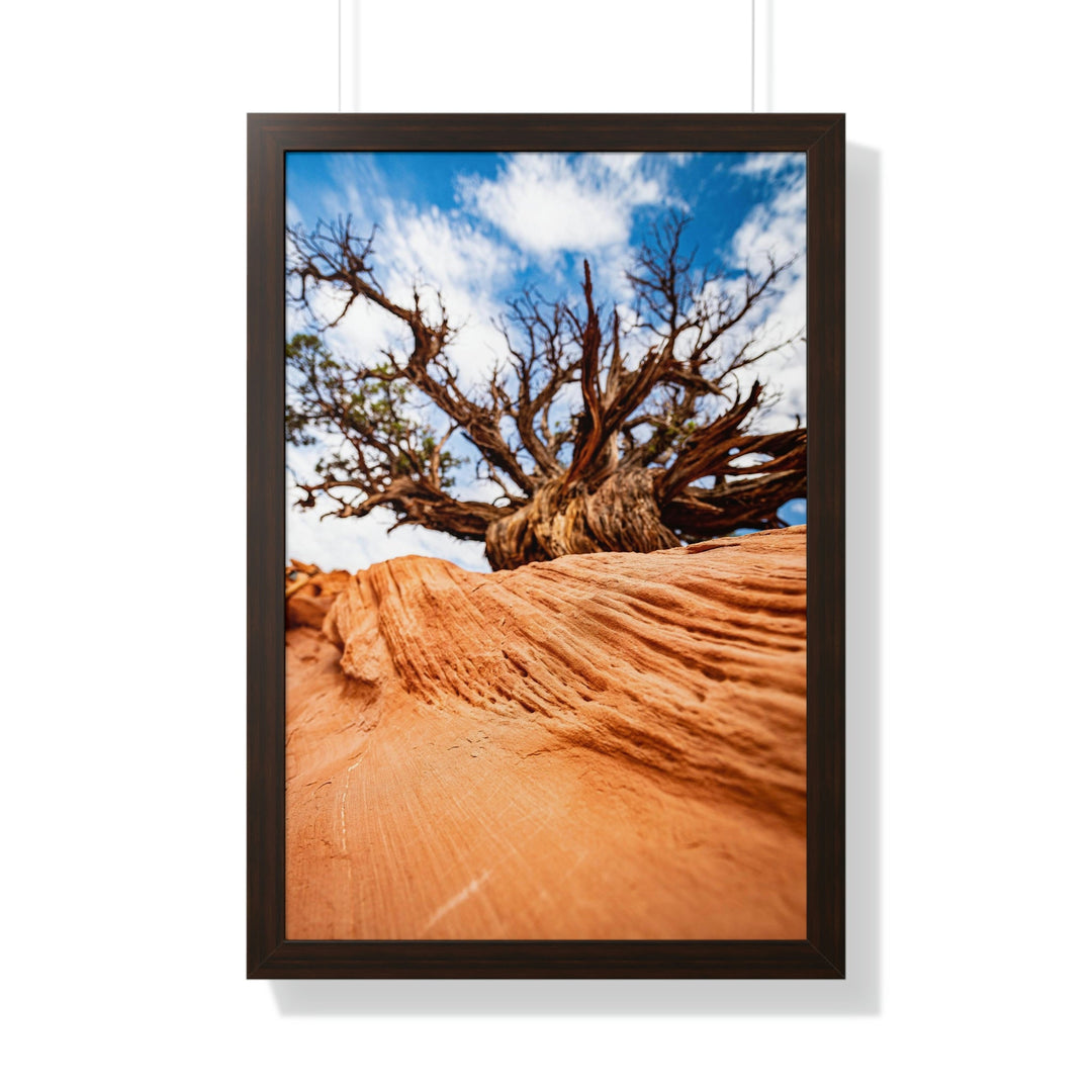 Desert Reach - Framed Print - Visiting This World