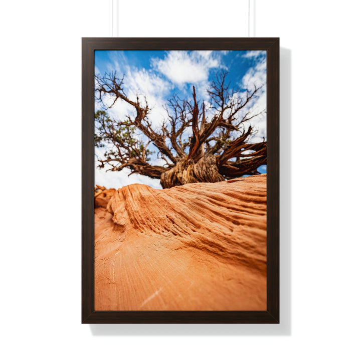 Desert Reach - Framed Print - Visiting This World