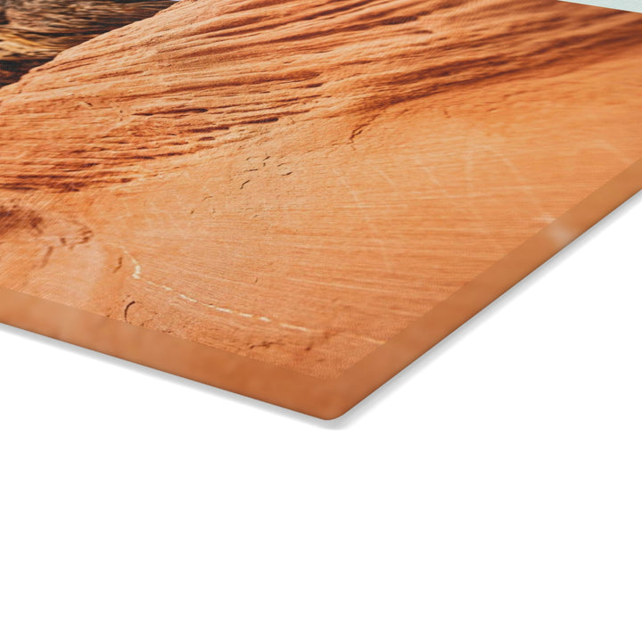 Desert Reach - Glass Cutting Board - Visiting This World