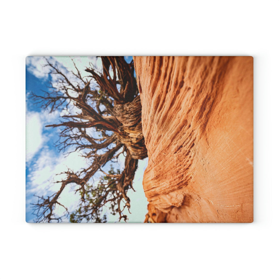 Desert Reach - Glass Cutting Board - Visiting This World