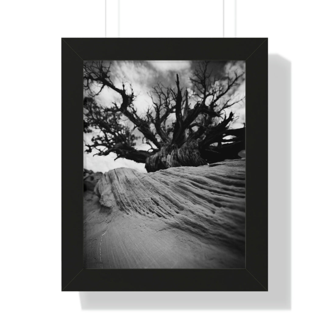 Desert Reach in Black and White - Framed Print - Visiting This World