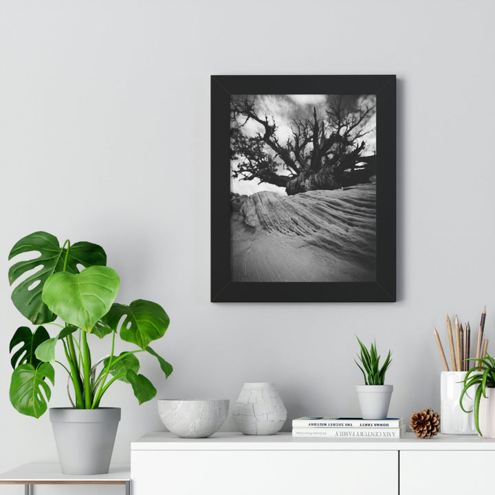 Desert Reach in Black and White - Framed Print - Visiting This World