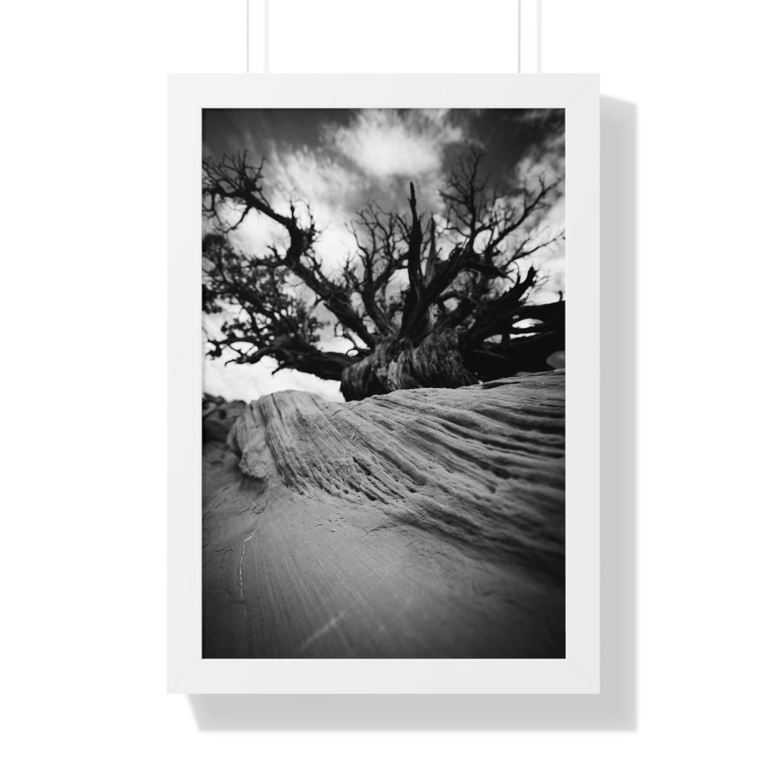 Desert Reach in Black and White - Framed Print - Visiting This World