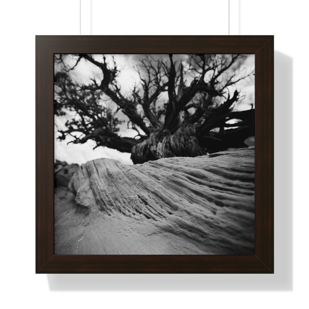 Desert Reach in Black and White - Framed Print - Visiting This World