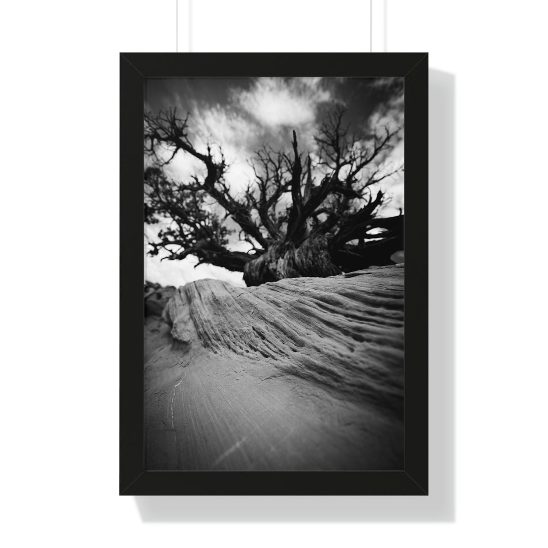 Desert Reach in Black and White - Framed Print - Visiting This World