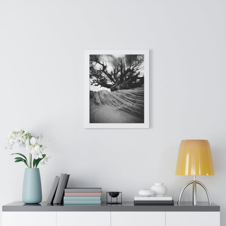 Desert Reach in Black and White - Framed Print - Visiting This World