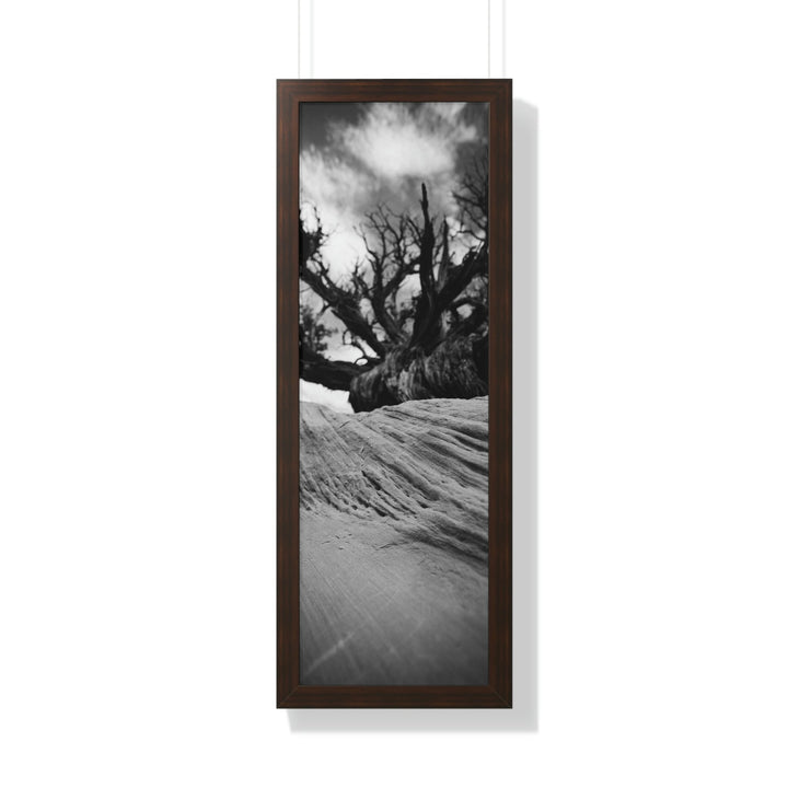 Desert Reach in Black and White - Framed Print - Visiting This World