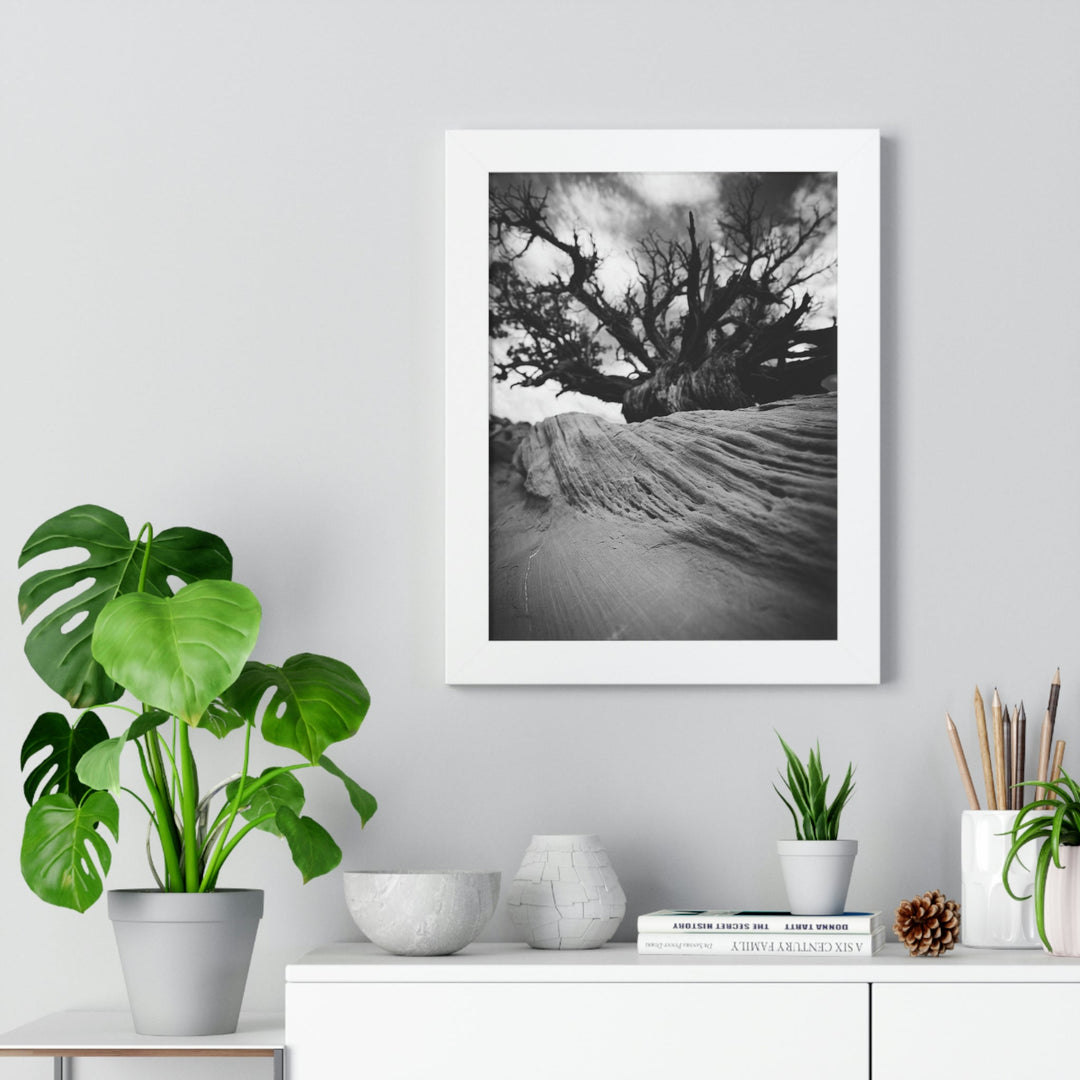 Desert Reach in Black and White - Framed Print - Visiting This World