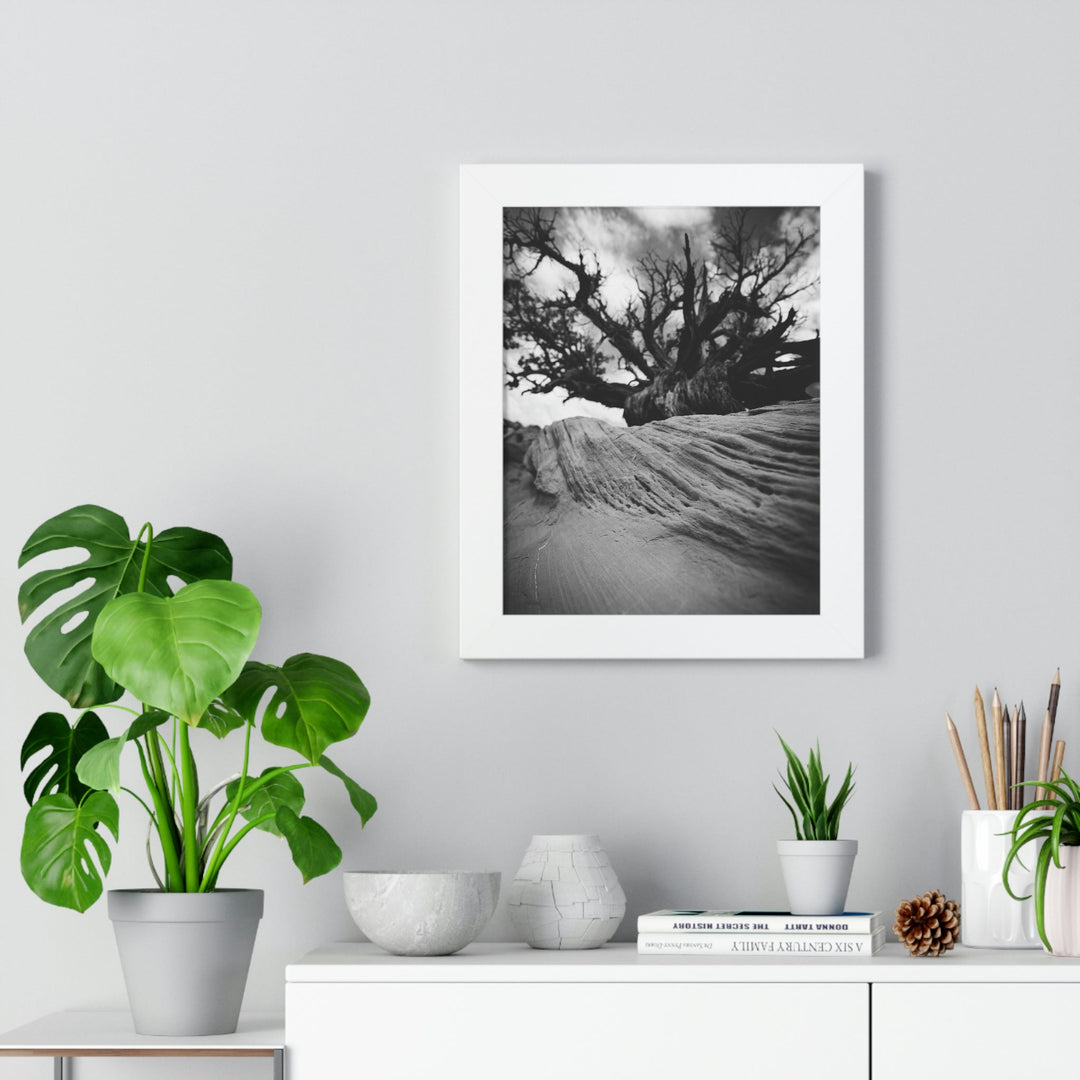 Desert Reach in Black and White - Framed Print - Visiting This World