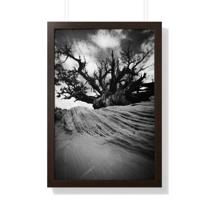 Desert Reach in Black and White - Framed Print - Visiting This World