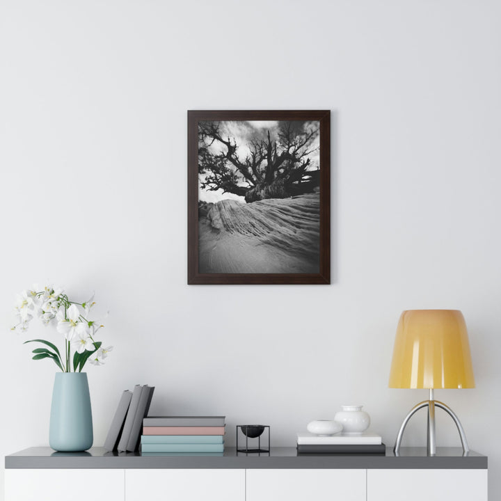 Desert Reach in Black and White - Framed Print - Visiting This World