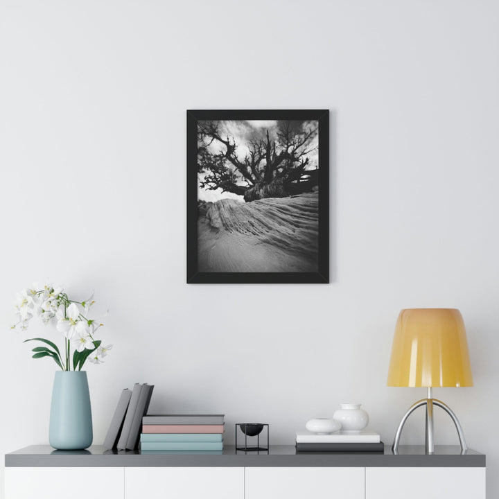 Desert Reach in Black and White - Framed Print - Visiting This World