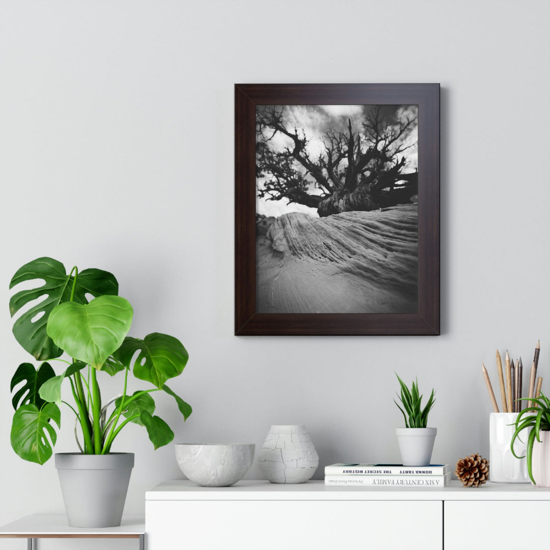 Desert Reach in Black and White - Framed Print - Visiting This World