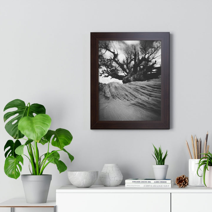 Desert Reach in Black and White - Framed Print - Visiting This World