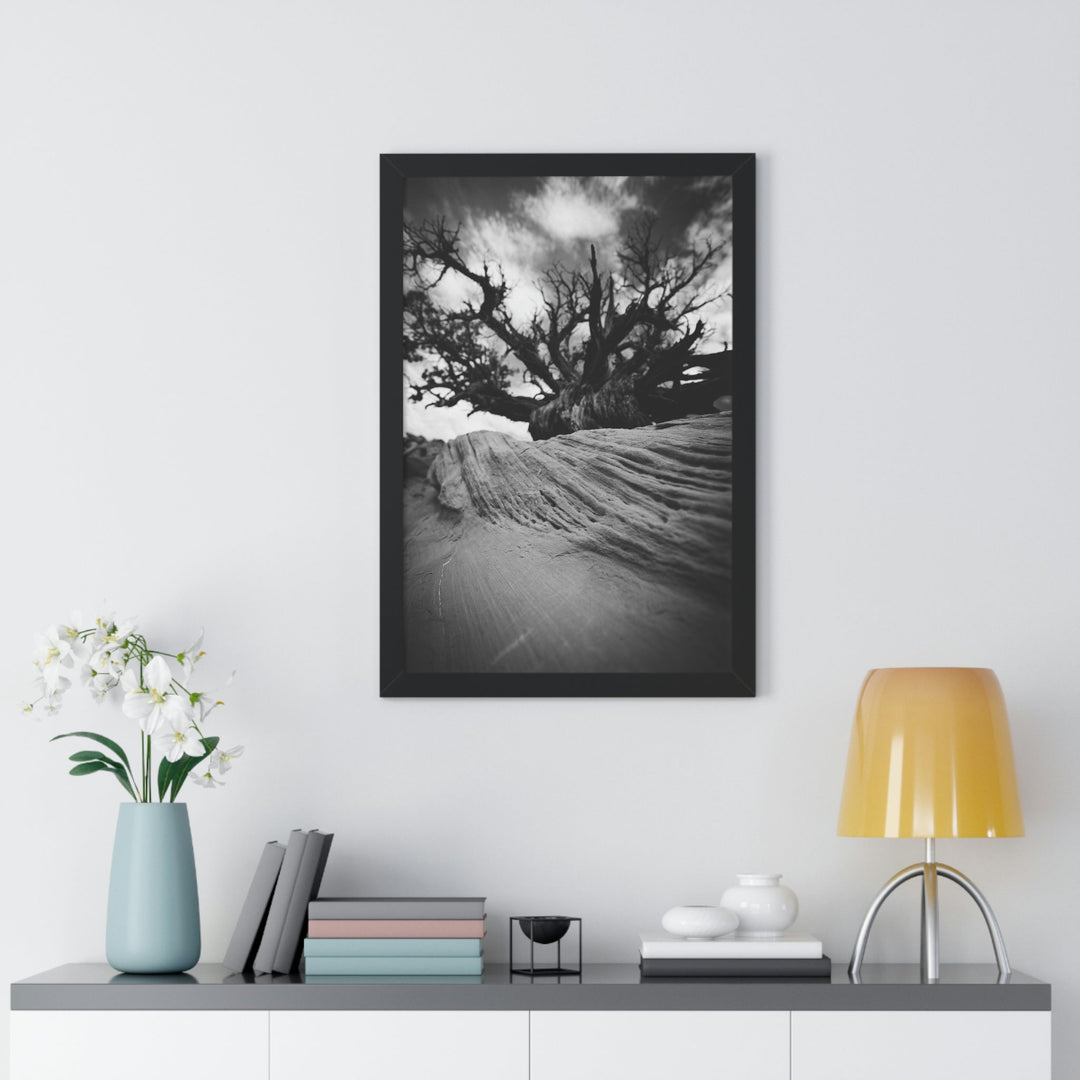 Desert Reach in Black and White - Framed Print - Visiting This World