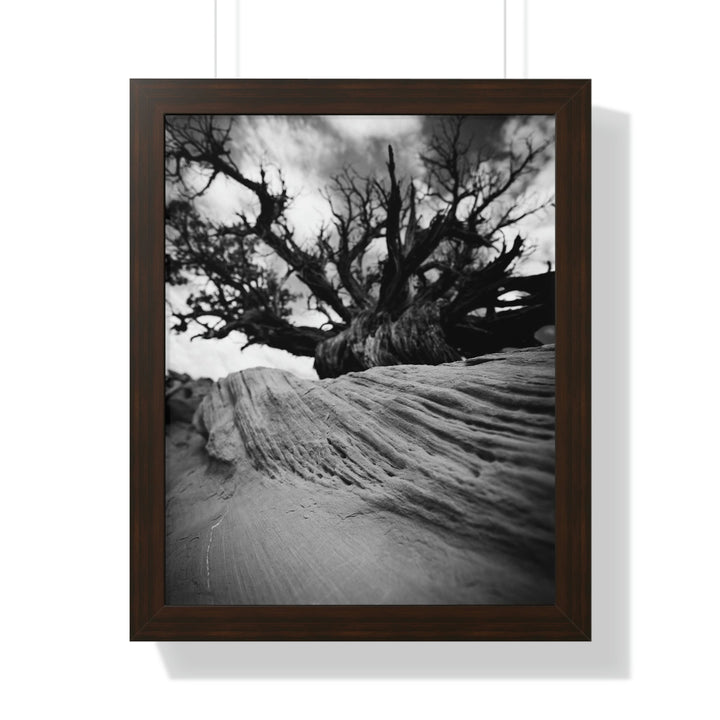 Desert Reach in Black and White - Framed Print - Visiting This World