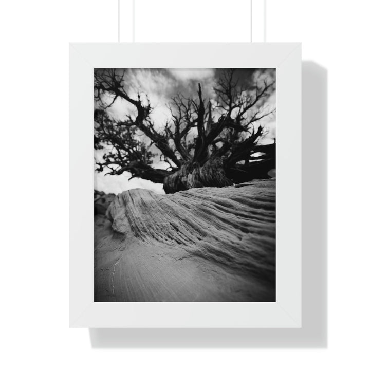 Desert Reach in Black and White - Framed Print - Visiting This World